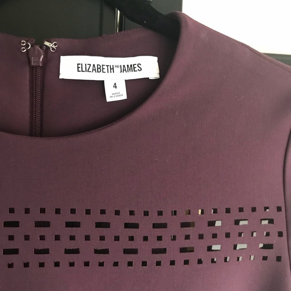 Elizabeth & James plum sheath